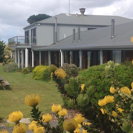 Skenes Creek Lodge Motel And Licensed Restaurant Exterior photo