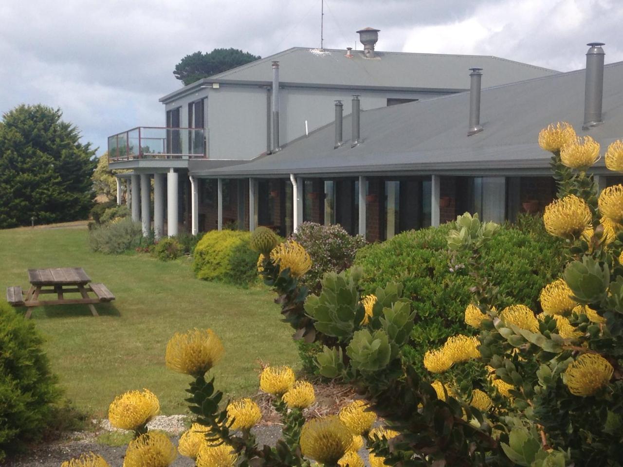 Skenes Creek Lodge Motel And Licensed Restaurant Exterior photo